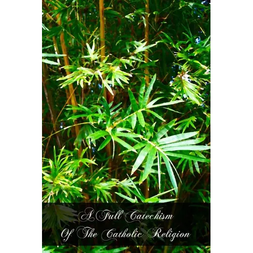 A Full Catechism Of The Catholic Religion - Paperback - Tree of Life
