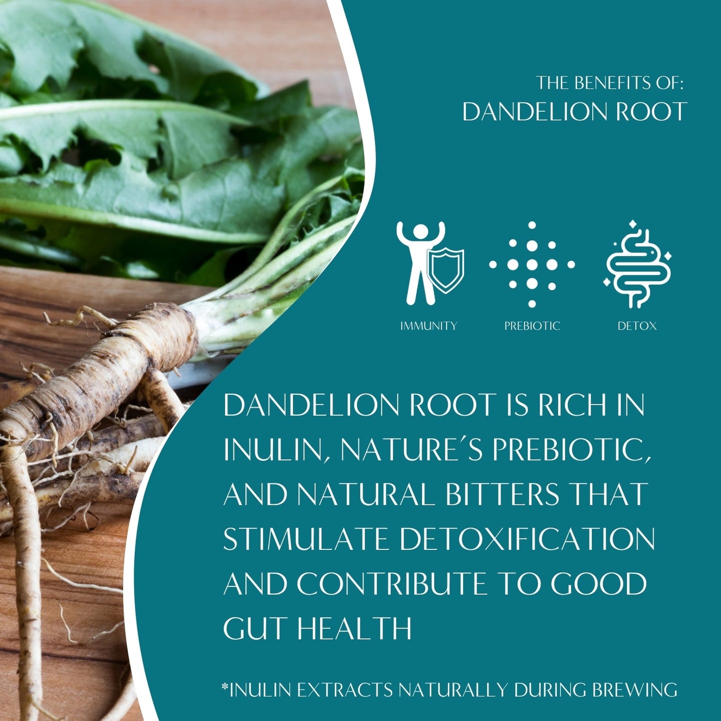 Dandelion Caramel Nut Roasted Herbal Tea - Tree of Life