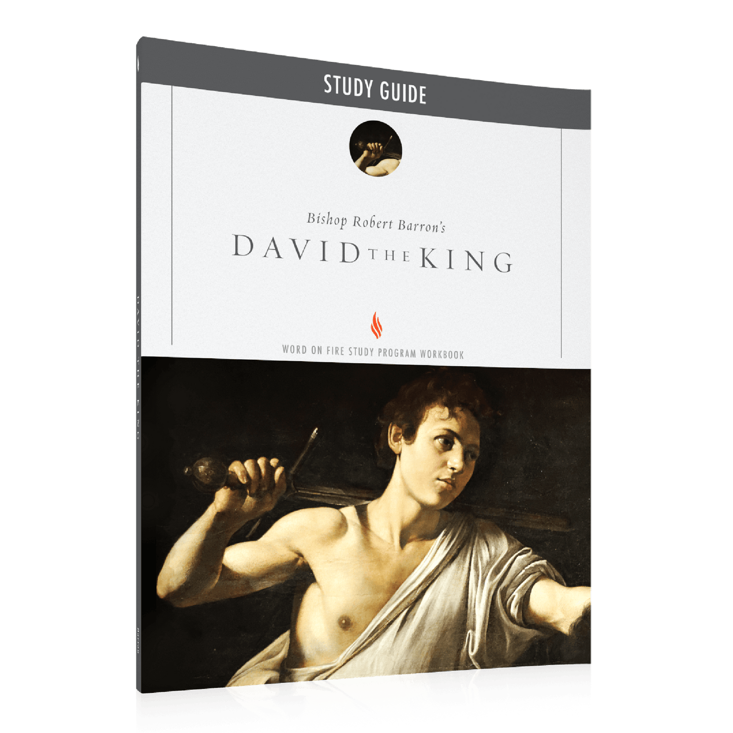 https://cdn.shopify.com/s/files/1/0005/3195/5769/files/DavidtheKing_Eng_Shopify_Right.png?v=1751920931
