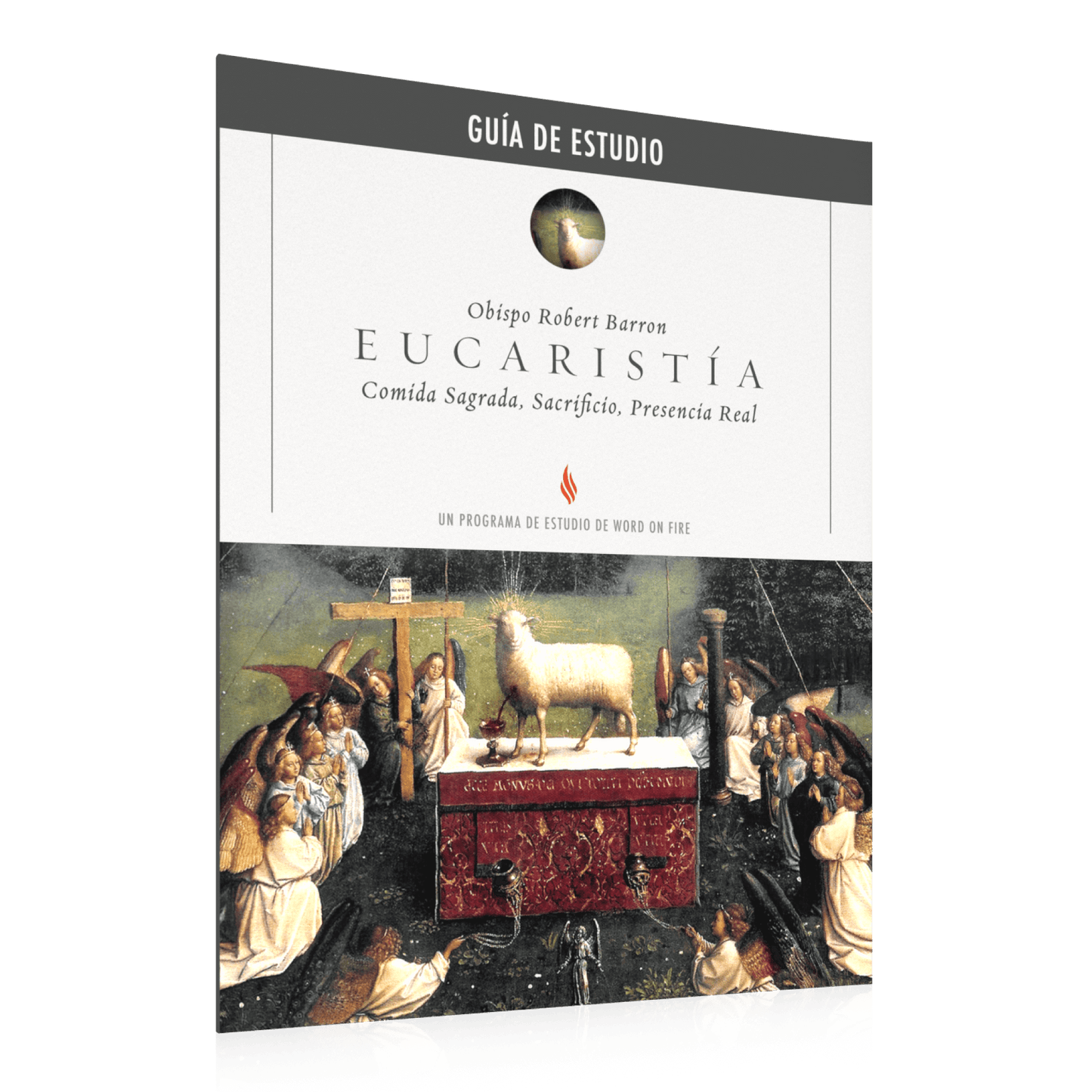 https://cdn.shopify.com/s/files/1/0005/3195/5769/files/Eucharist_Study-Guide_Spanish_SHOPIFY_Right.png?v=1751924354