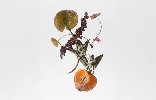 BODY FRAGRANCE- SUEDE MUSK - Tree of Life