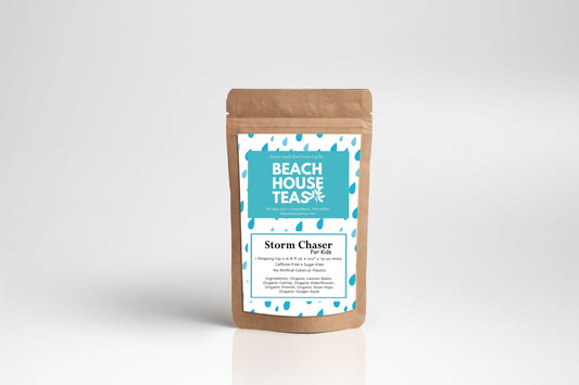 Storm Chaser For Kids