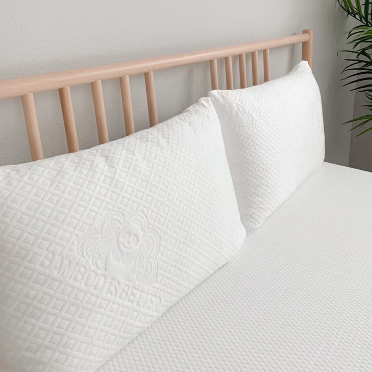 Pillow Cover – Bamboo Cooling, Hypoallergenic & Washable - Tree of Life