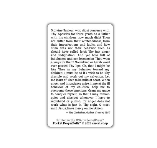 Mother's Prayer for the Spirit of Mildness: Pocket PrayerFulls™ | Durable Wallet Prayer Cards | Catholic Prayers - Tree of Life