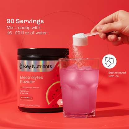 Electrolyte Recovery Plus Powder (Sugar-Free) - Tree of Life
