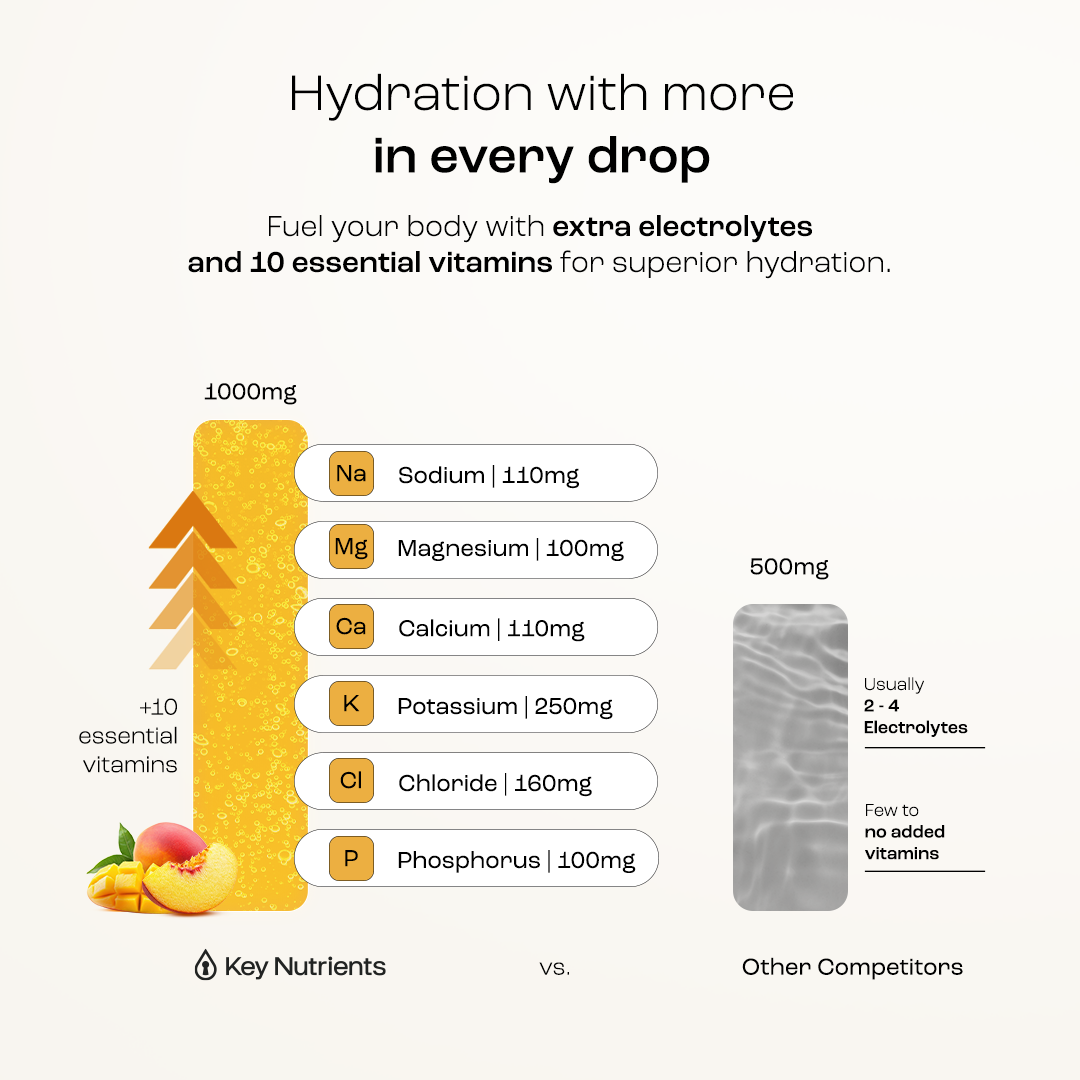 Electrolyte Recovery Plus Powder (Sugar-Free) - Tree of Life