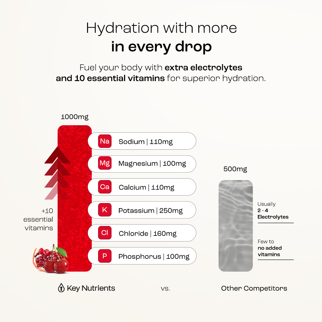 Electrolyte Recovery Plus Powder (Sugar-Free) - Tree of Life