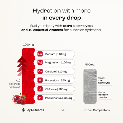 Electrolyte Recovery Plus Powder (Sugar-Free) - Tree of Life