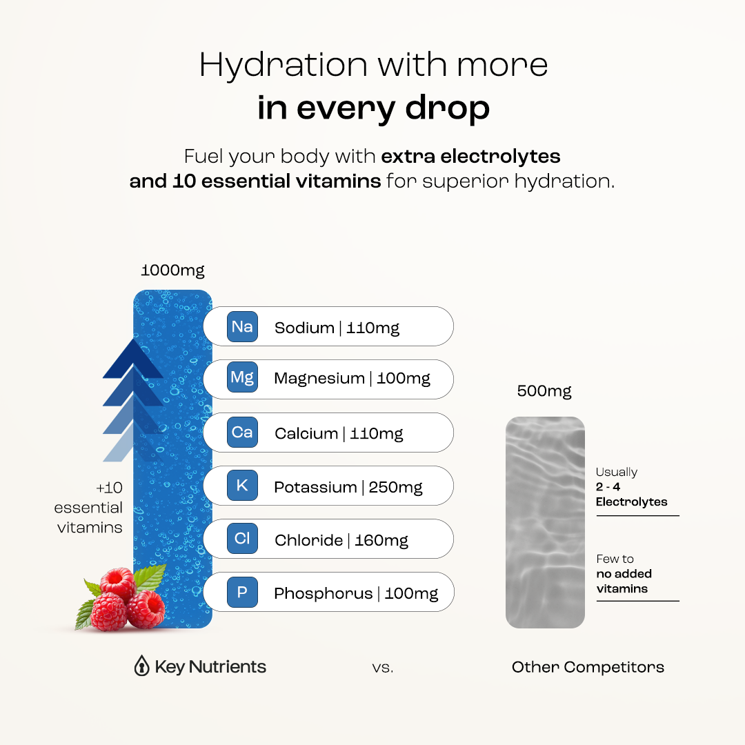 Electrolyte Recovery Plus Powder (Sugar-Free) - Tree of Life