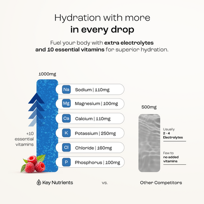 Electrolyte Recovery Plus Powder (Sugar-Free) - Tree of Life