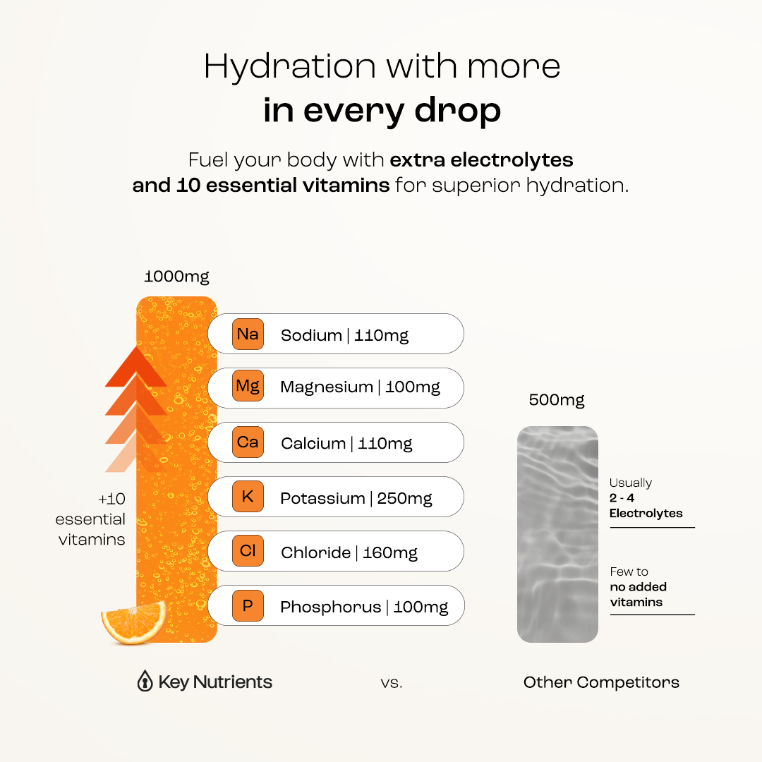 Electrolyte Recovery Plus Powder (Sugar-Free) - Tree of Life