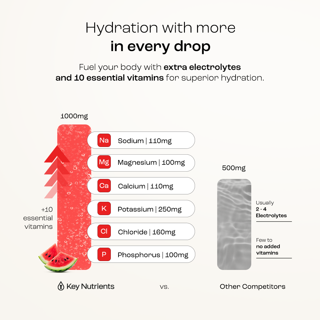 Electrolyte Recovery Plus Powder (Sugar-Free) - Tree of Life