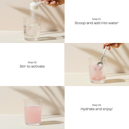 Electrolyte Recovery Plus Powder (Sugar-Free) - Tree of Life