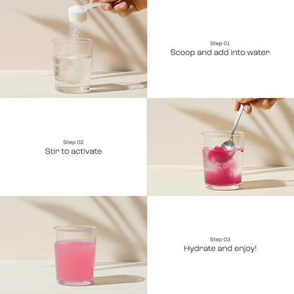 Electrolyte Recovery Plus Powder (Sugar-Free) - Tree of Life