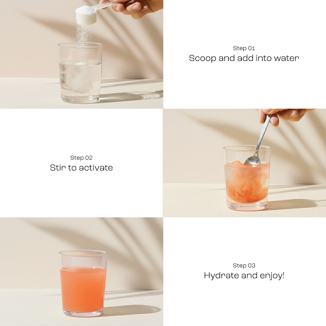 Electrolyte Recovery Plus Powder (Sugar-Free) - Tree of Life