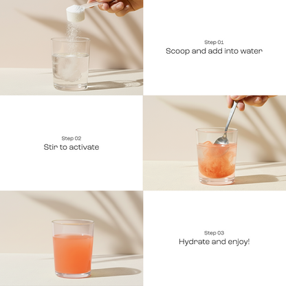 Electrolyte Recovery Plus Powder (Sugar-Free) - Tree of Life
