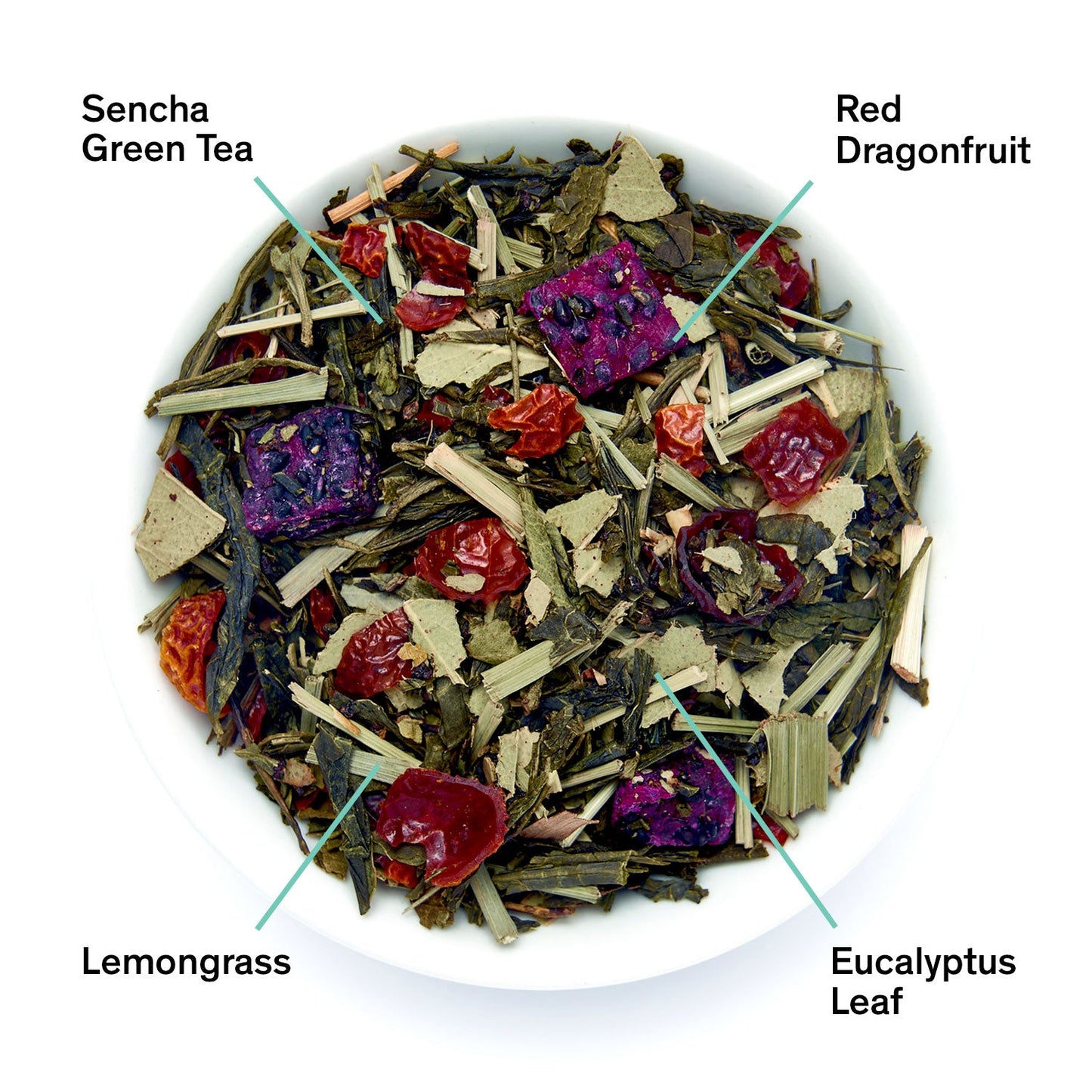Tropic of Capricorn - Dragonfruit Melon Green Tea - Tree of Life