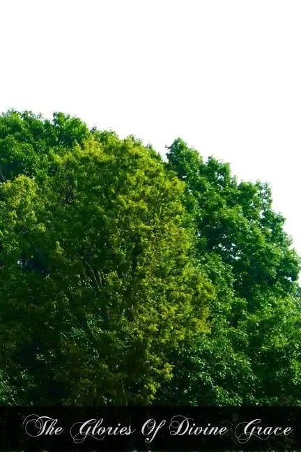The Glories Of Divine Grace - Paperback - Tree of Life