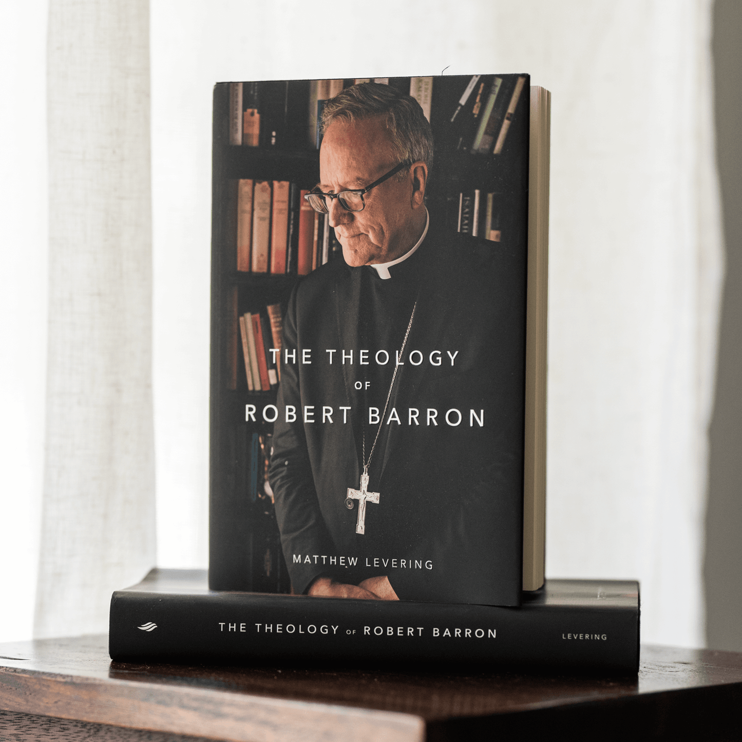 https://cdn.shopify.com/s/files/1/0005/3195/5769/files/230814_theology-of-robert-barron-17.png?v=1758317701
