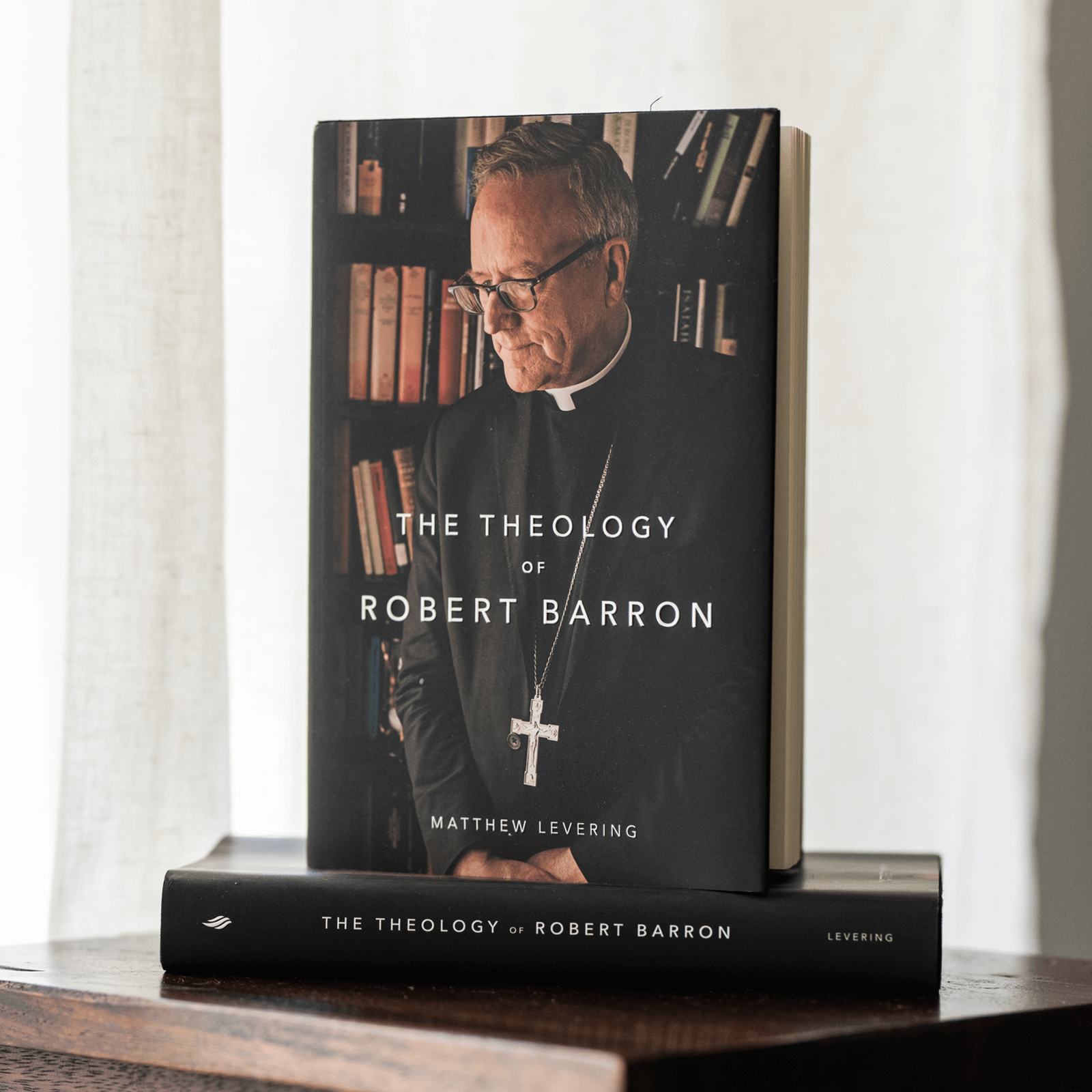 https://cdn.shopify.com/s/files/1/0005/3195/5769/files/230814_theology-of-robert-barron-17.png?v=1758317701