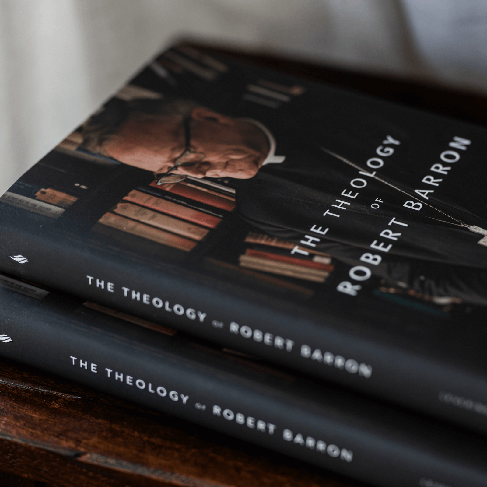 https://cdn.shopify.com/s/files/1/0005/3195/5769/files/230814_theology-of-robert-barron-2.png?v=1758317701