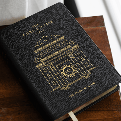 https://cdn.shopify.com/s/files/1/0005/3195/5769/files/240604-Bible_VOL-IV_set-2-5_SQUARE.png?v=1737758823