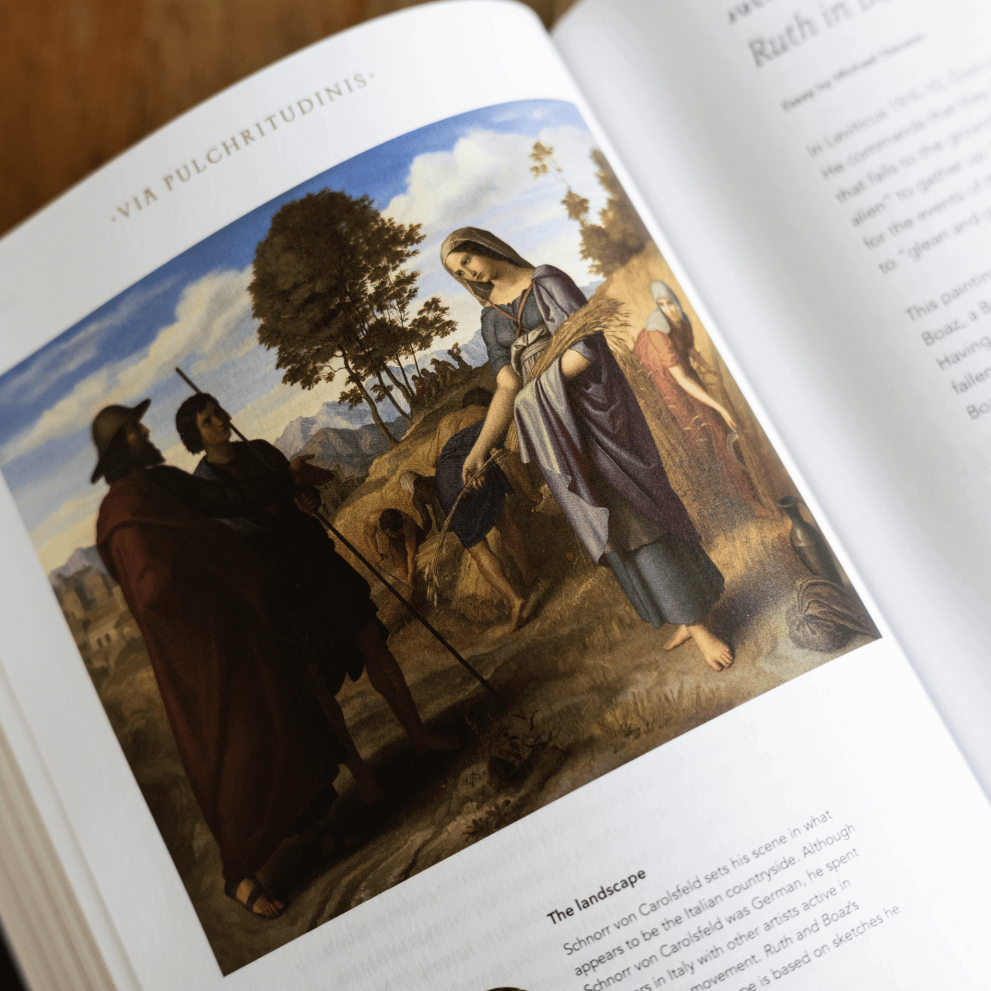 https://cdn.shopify.com/s/files/1/0005/3195/5769/files/240604-Bible_VOL-IV_set-2_SQUARE.png?v=1737758823
