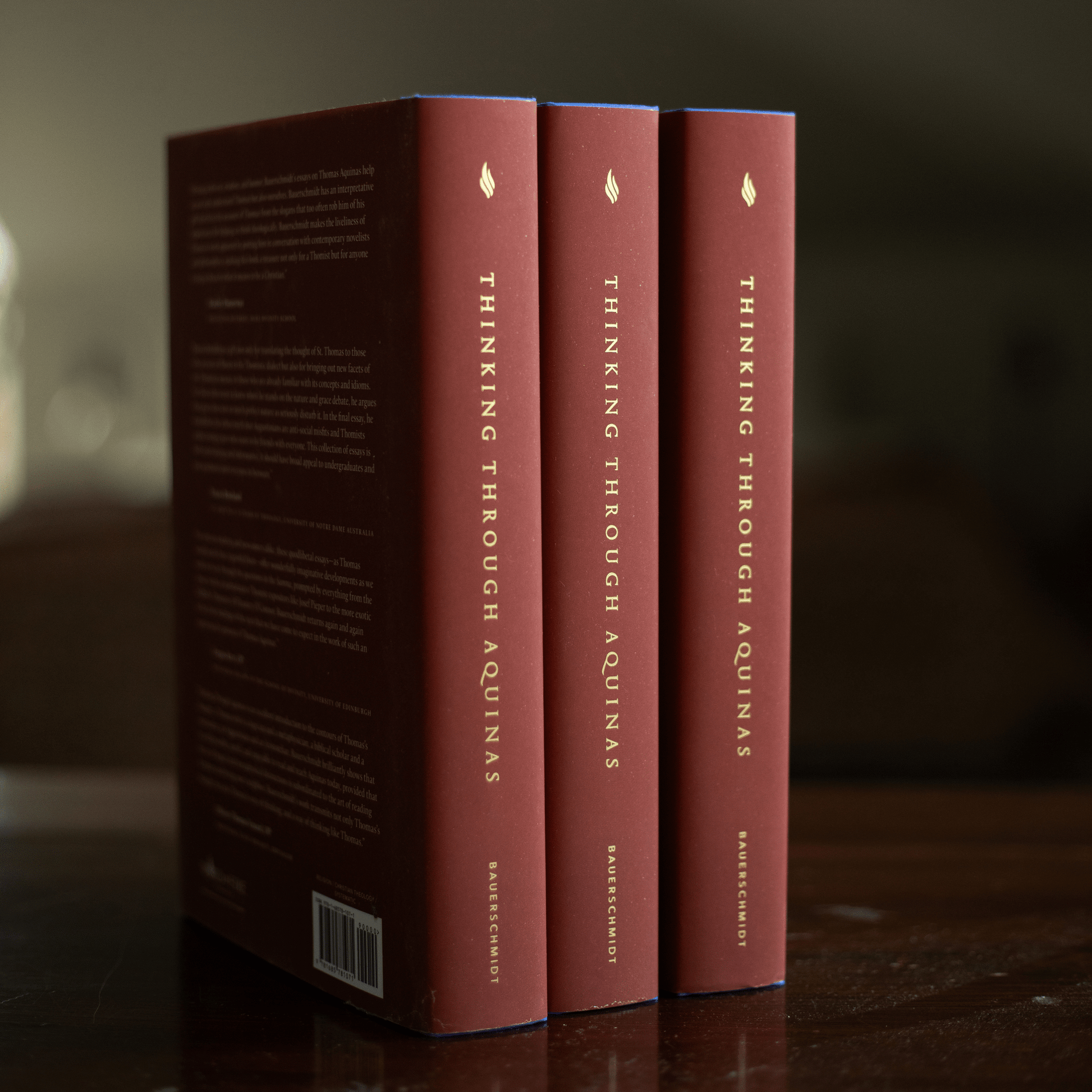 https://cdn.shopify.com/s/files/1/0005/3195/5769/files/2408_Thinking-Through-Aquinas-14_shopify.png?v=1758316990