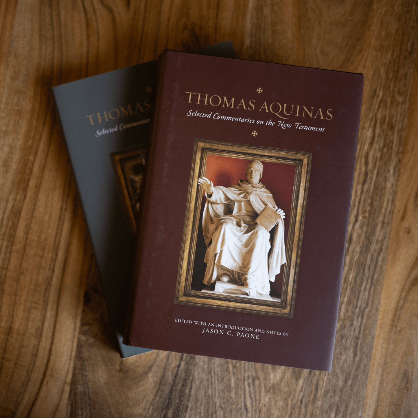 https://cdn.shopify.com/s/files/1/0005/3195/5769/files/240912_AquinasBundle_square-5_shopify.png?v=1758316663