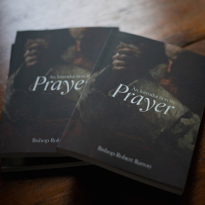 https://cdn.shopify.com/s/files/1/0005/3195/5769/files/2409_Introduction-to-Prayer-14_square_1.jpg?v=1758316930