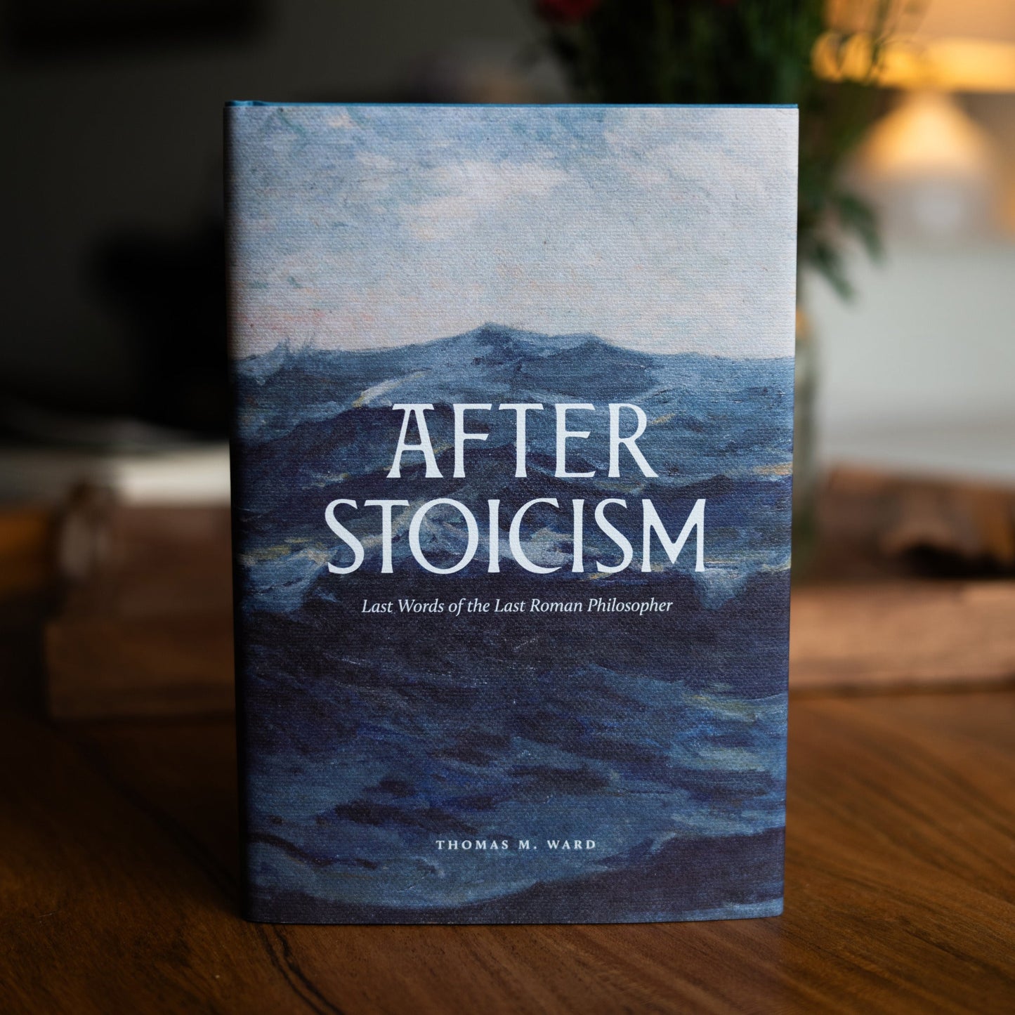 https://cdn.shopify.com/s/files/1/0005/3195/5769/files/2410_After-Stoicism-4_square_1.jpg?v=1758317057