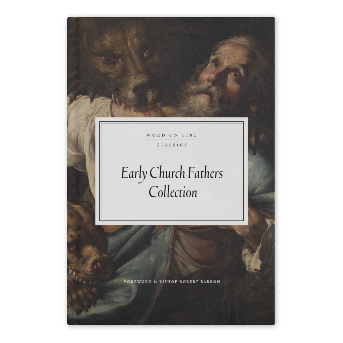https://cdn.shopify.com/s/files/1/0005/3195/5769/files/2410_Early-Church-Fathers-Collection_Shopify_FRONT.png?v=1729020679