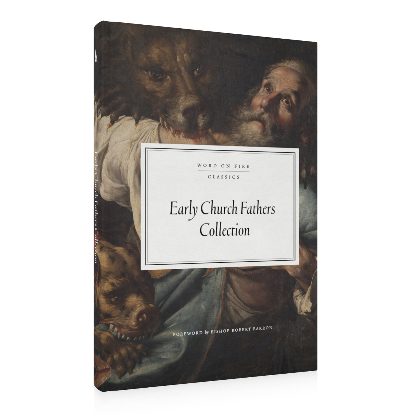 https://cdn.shopify.com/s/files/1/0005/3195/5769/files/2410_Early-Church-Fathers-Collection_Shopify_RIGHT.png?v=1729020679