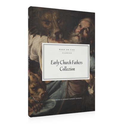 https://cdn.shopify.com/s/files/1/0005/3195/5769/files/2410_Early-Church-Fathers-Collection_Shopify_RIGHT.png?v=1729020679
