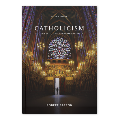 https://cdn.shopify.com/s/files/1/0005/3195/5769/files/2506_Catholicism-Reprint_Shopify_FRONT_MT.png?v=1749500789