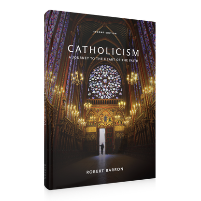 https://cdn.shopify.com/s/files/1/0005/3195/5769/files/2506_Catholicism-Reprint_Shopify_RIGHT_RL.png?v=1749500789