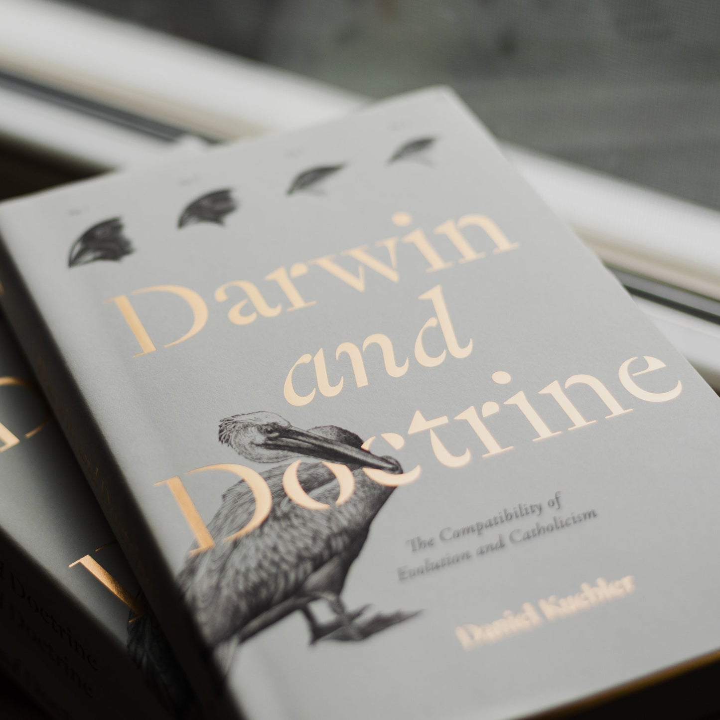 https://cdn.shopify.com/s/files/1/0005/3195/5769/files/2506_Darwin-and-Doctrine-11.jpg?v=1758317198