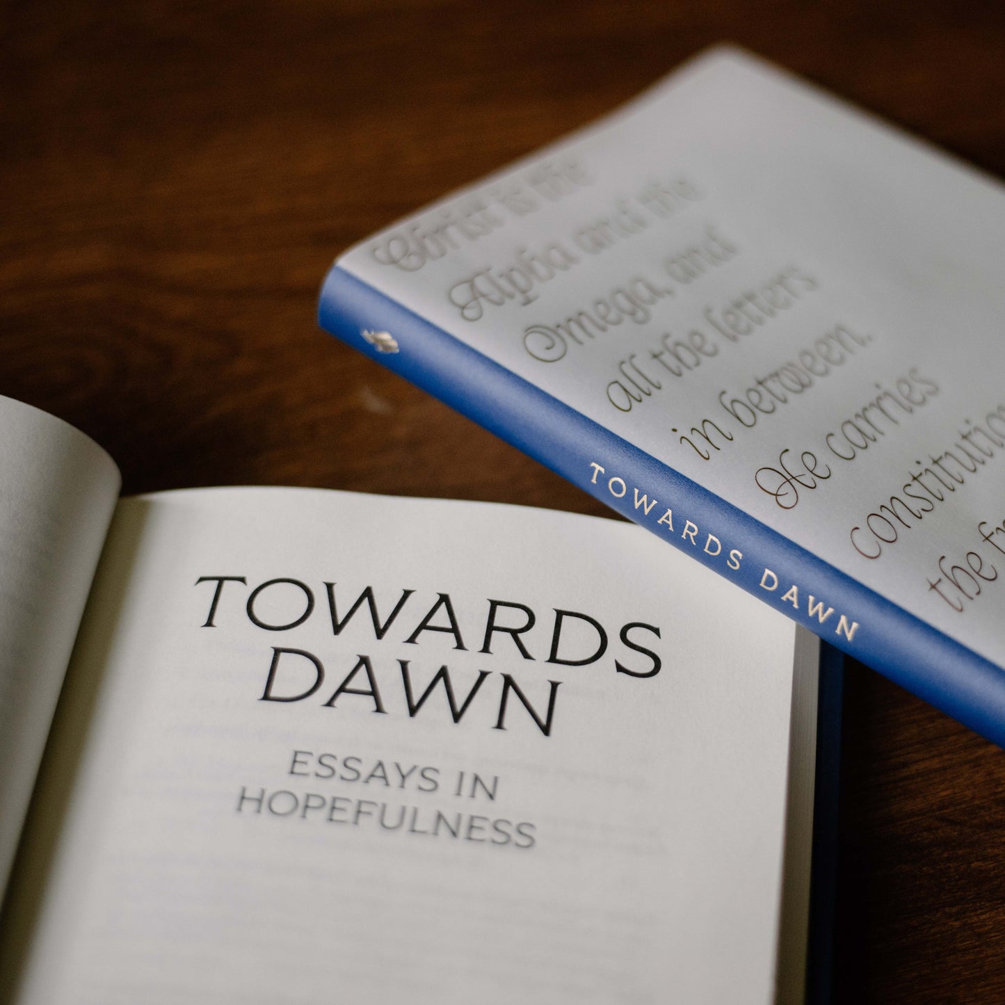 https://cdn.shopify.com/s/files/1/0005/3195/5769/files/2508_Towards-Dawn-1.jpg?v=1776096336