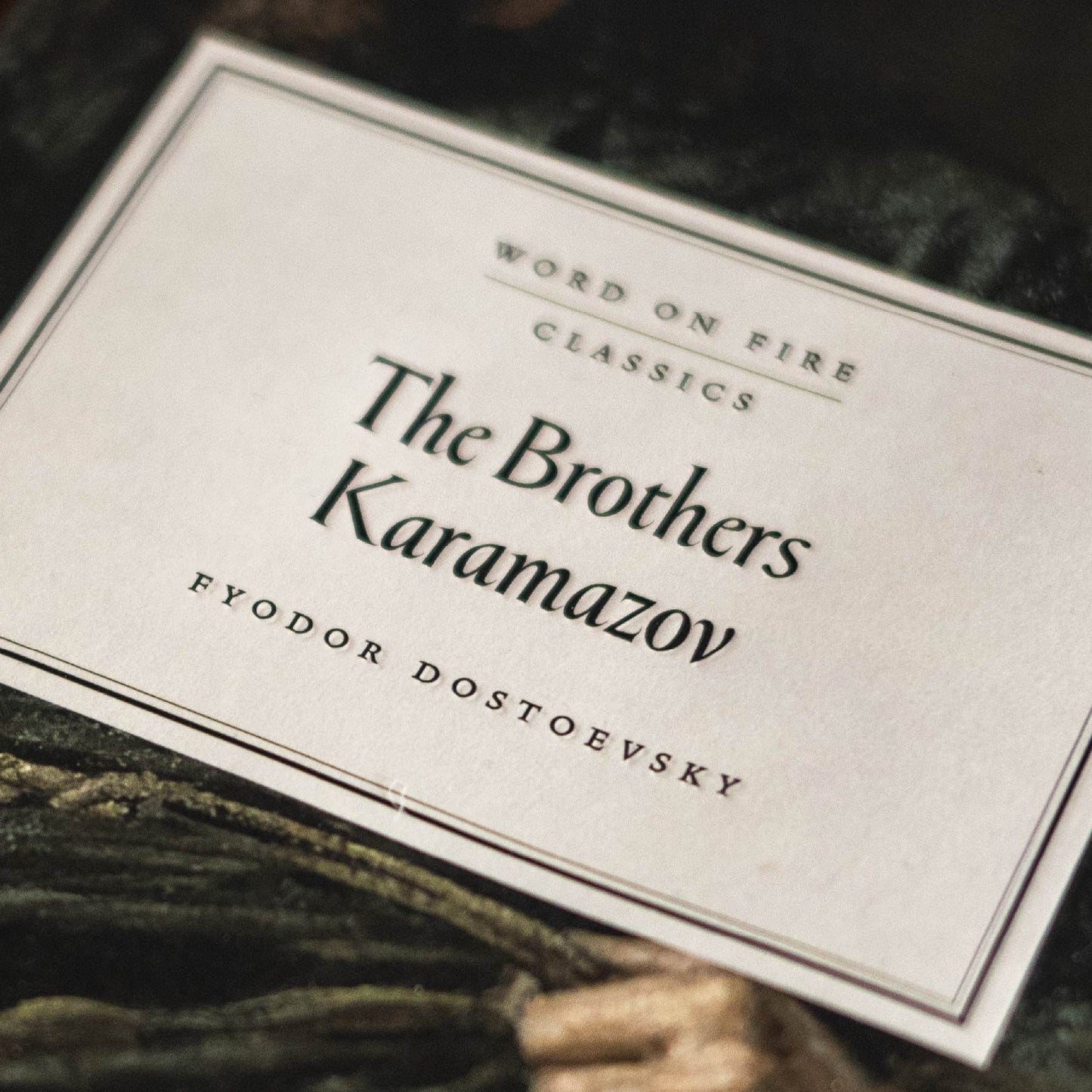 https://cdn.shopify.com/s/files/1/0005/3195/5769/files/2511_Brother_sKaramazov_A__Square_AS_image2.jpg?v=1764711127