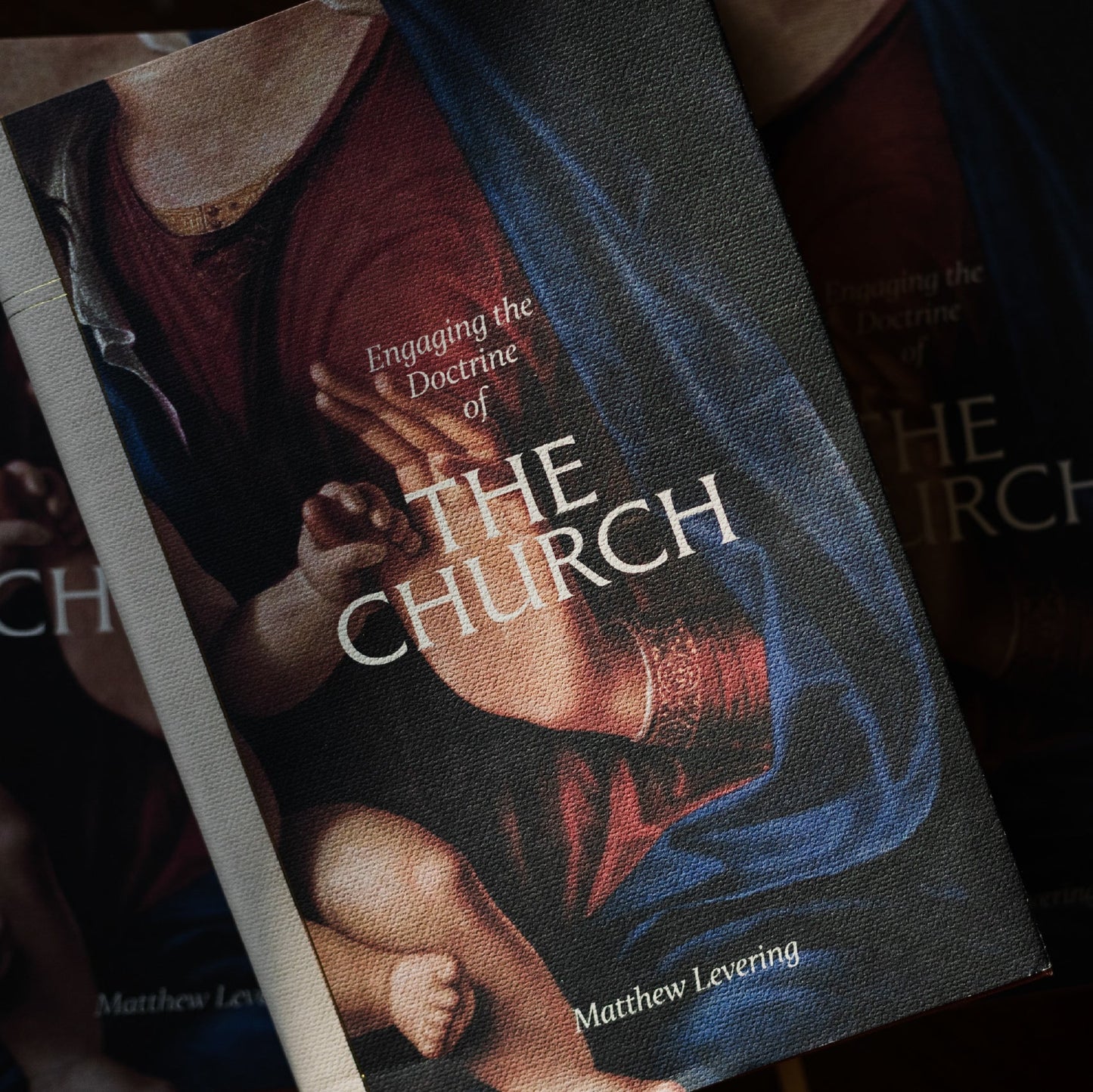 https://cdn.shopify.com/s/files/1/0005/3195/5769/files/2512_Engaging-the-Doctrine-of-the-ChurchArtboard3.jpg?v=1764800358