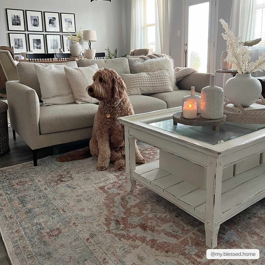 Emke Flat Pile Washable Rug - Clearance - Tree of Life