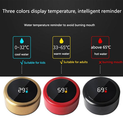 500ml Stainless Steel Intelligent Insulation Water Bottle Vacuum Bottle Insulation Touch Intelligent Temperature Display  Intelligent Touch Display Temperature 304 Stainless Steel Thermos Water Bottle - Tree of Life