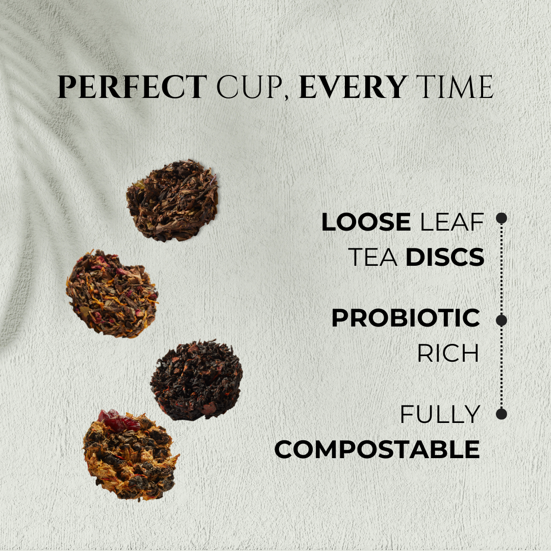 Deluxe Tea Disc Essential Set – 4-Pack Loose Leaf Gift Box - Tree of Life