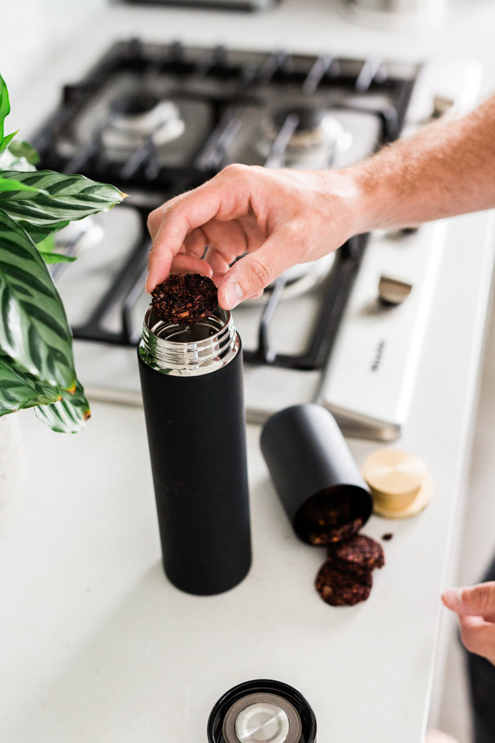 Strawberry Seduction No. 16 | Loose Leaf Black Tea - Tree of Life