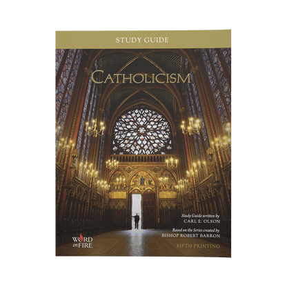 https://cdn.shopify.com/s/files/1/0005/3195/5769/files/CATHOLICISMFront.png?v=1752089701