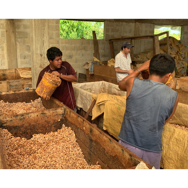 70% Belize Dark Chocolate - Tree of Life