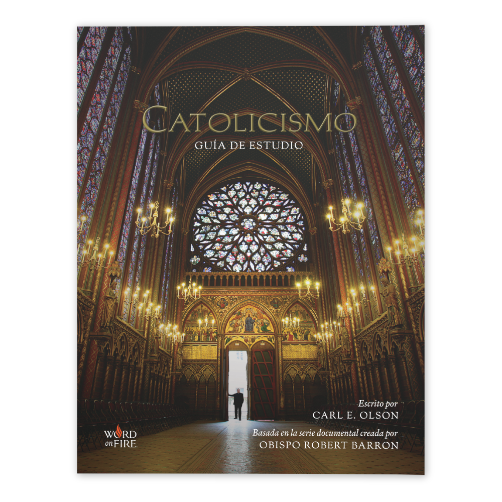 https://cdn.shopify.com/s/files/1/0005/3195/5769/files/Catholicism-SPN_Guide-Front-SHOPIFY.png?v=1752003145