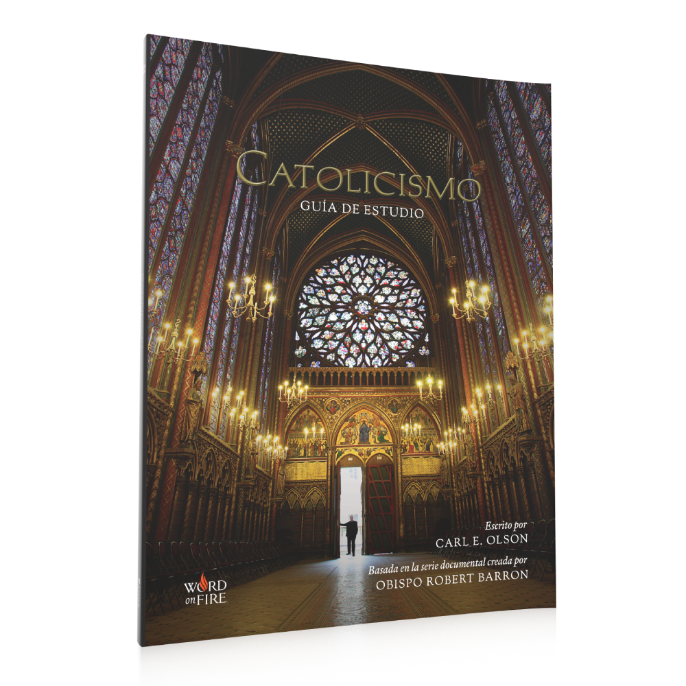 https://cdn.shopify.com/s/files/1/0005/3195/5769/files/Catholicism-SPN_Guide-Right-SHOPIFY.png?v=1752003145