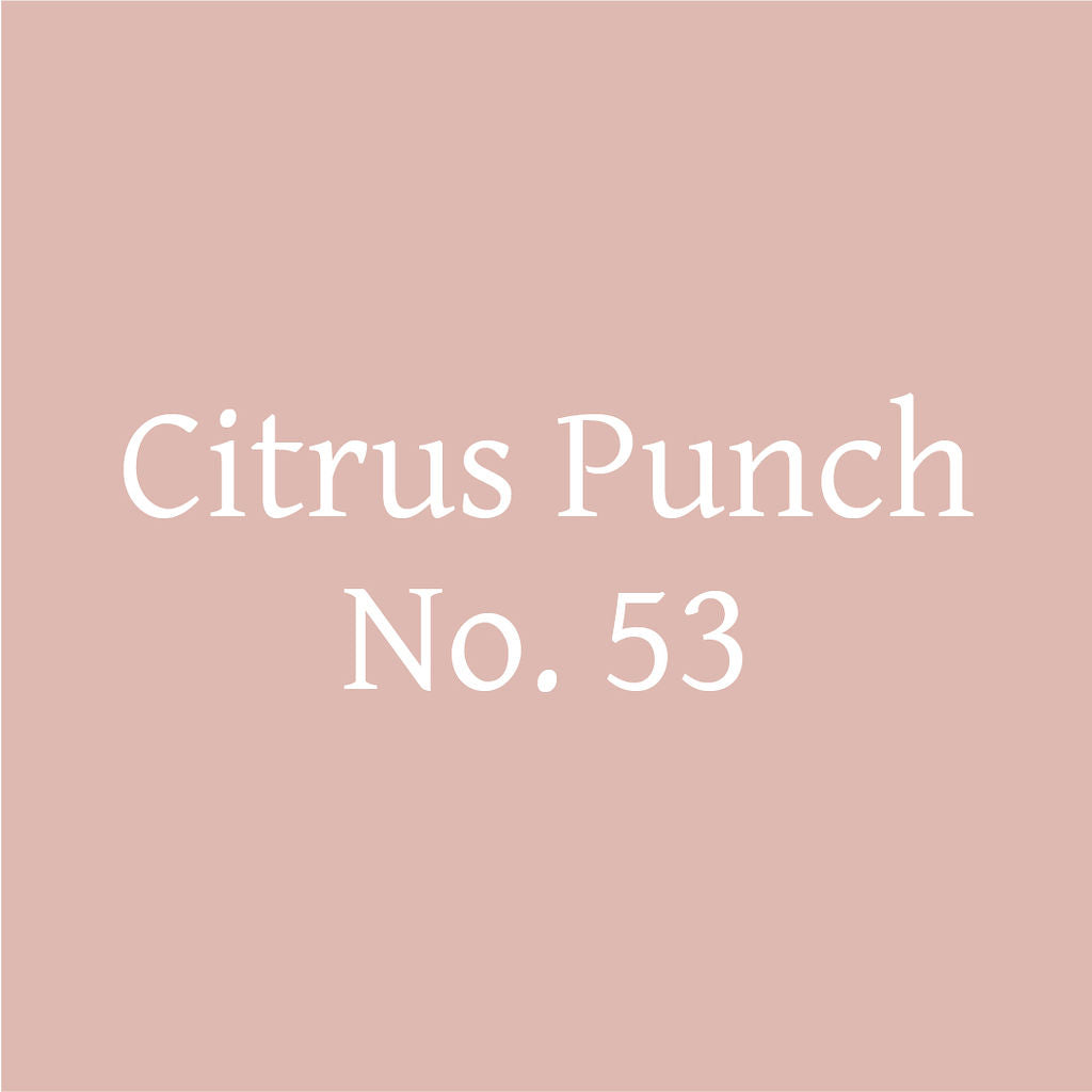Citrus Punch No. 53 – Citrus Probiotic Oolong Tea Discs - Tree of Life