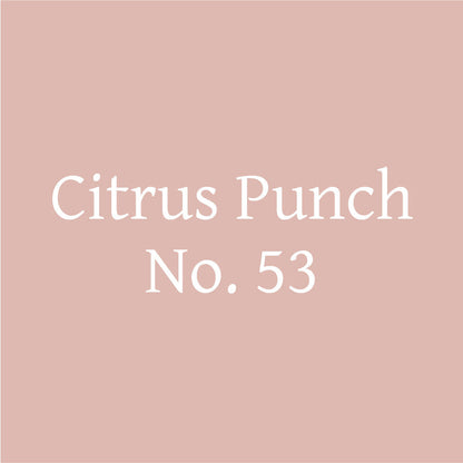 Citrus Punch No. 53 – Citrus Probiotic Oolong Tea Discs - Tree of Life